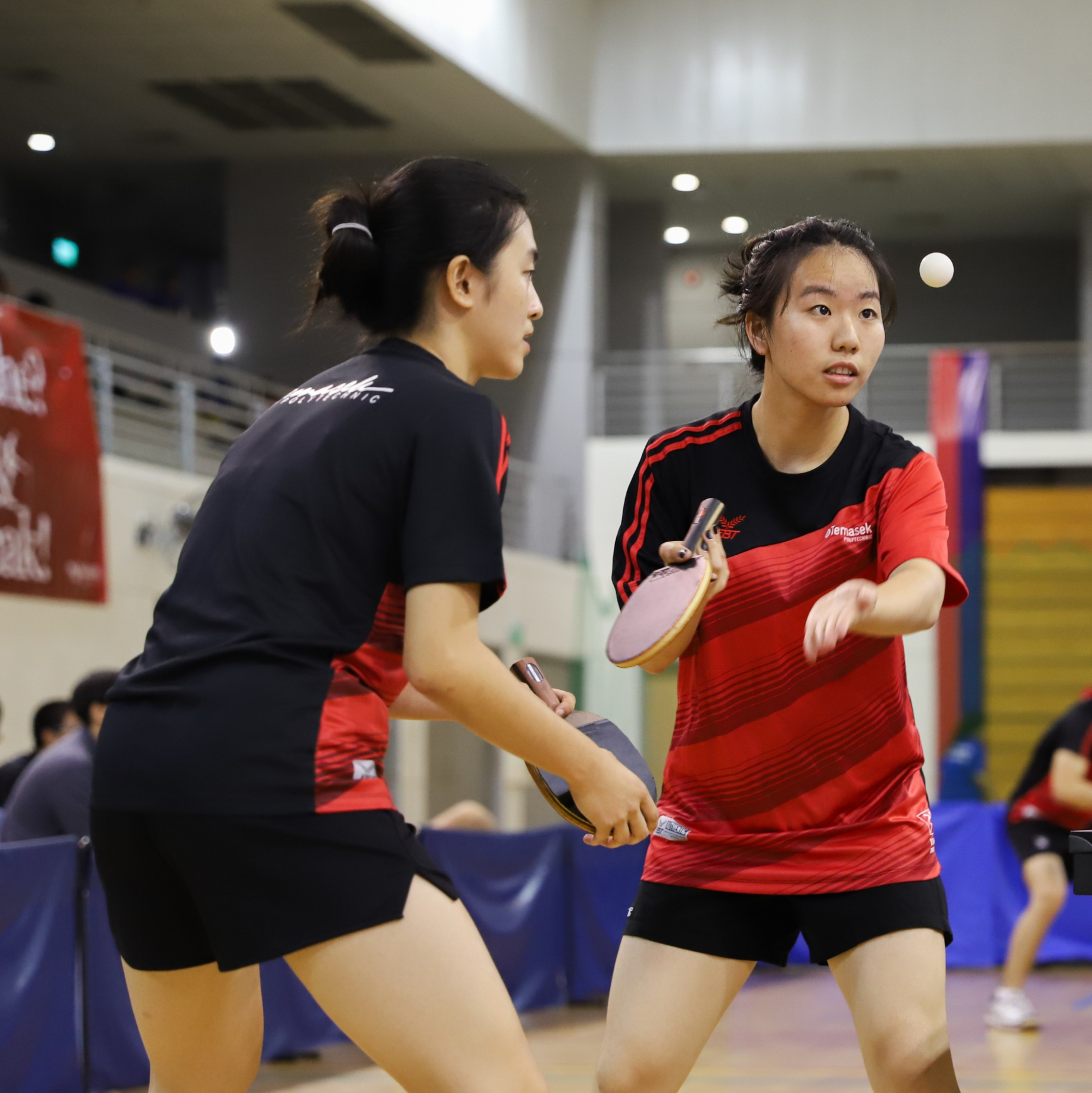 Image of Table Tennis players engaging in the sport
